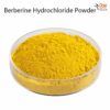 Berberine hydrochloride powder