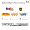 Berberine Hydrochloride Delivery